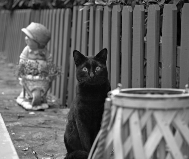 Иллюстрация к книге — О том, что есть в Греции [i_033.jpg]