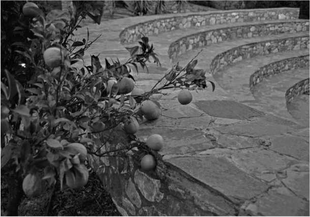 Иллюстрация к книге — О том, что есть в Греции [i_038.jpg]