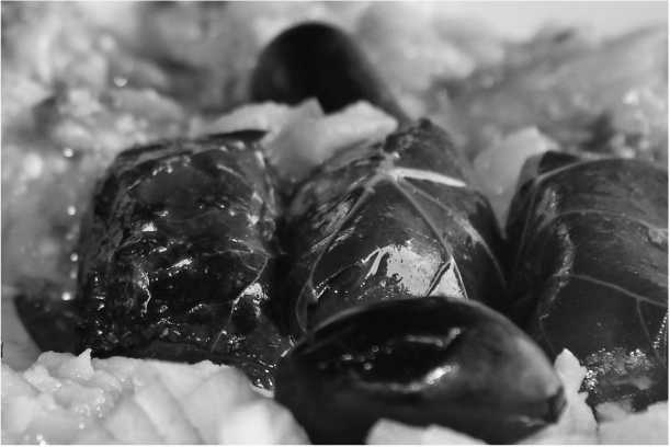 Иллюстрация к книге — О том, что есть в Греции [i_043.jpg]