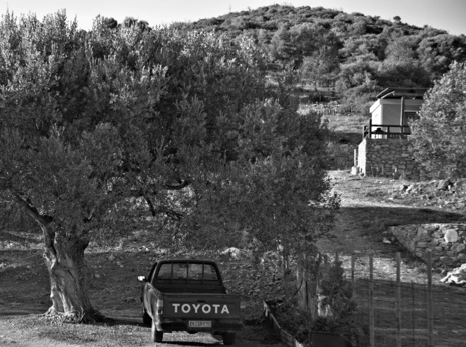 Иллюстрация к книге — О том, что есть в Греции [i_046.jpg]