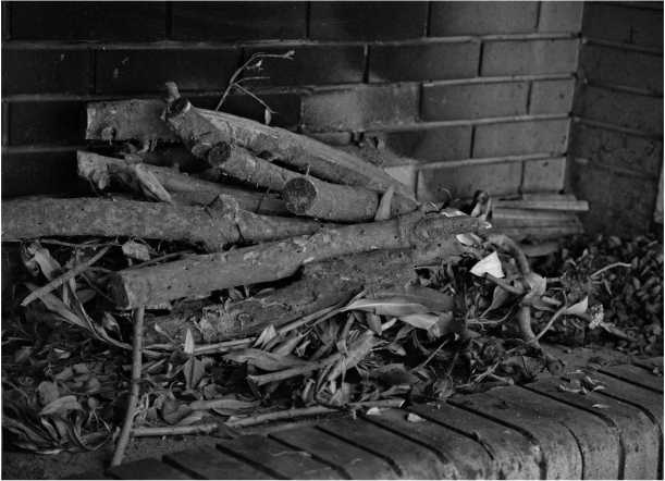 Иллюстрация к книге — О том, что есть в Греции [i_051.jpg]