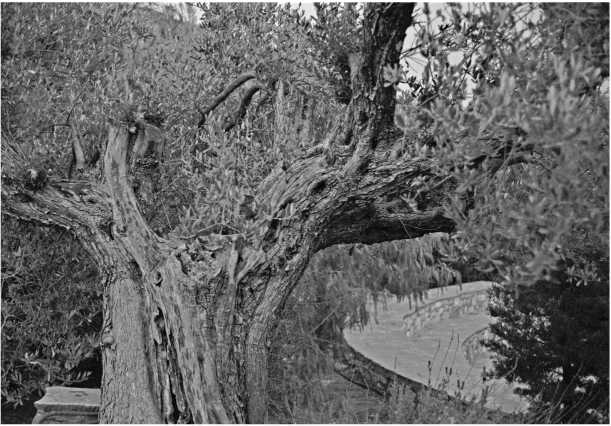 Иллюстрация к книге — О том, что есть в Греции [i_058.jpg]