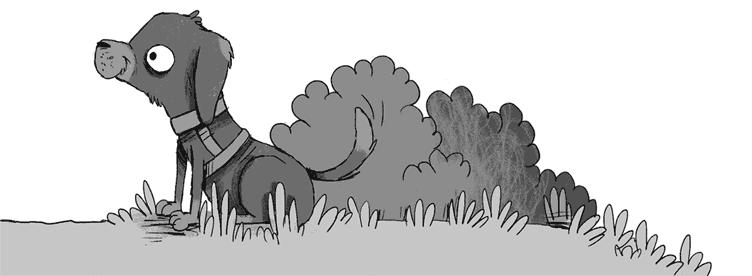 Иллюстрация к книге — Плюшевая тайна [i_019.jpg]