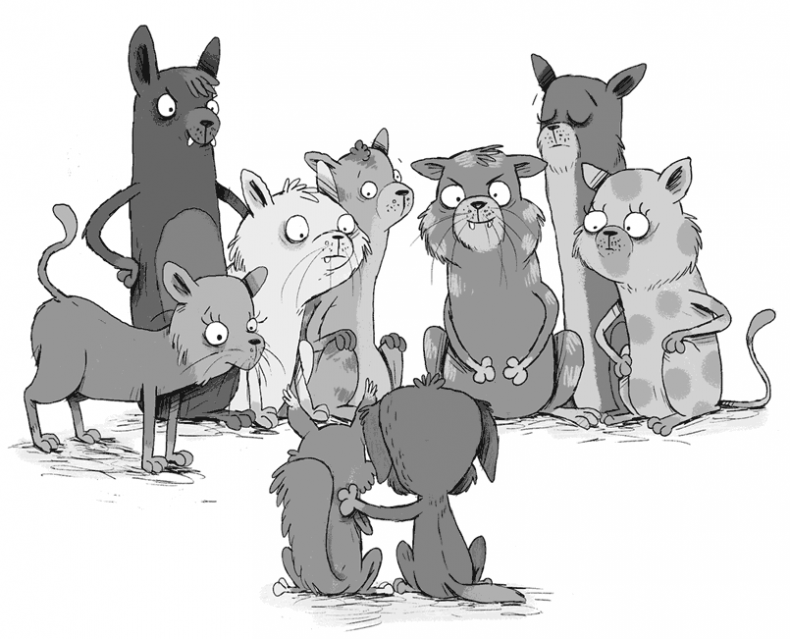 Иллюстрация к книге — Плюшевая тайна [i_025.jpg]