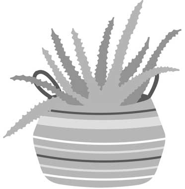 Иллюстрация к книге — Порядок снаружи, спокойствие внутри. Легкий путь к гармонии [i_013.jpg]