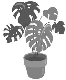 Иллюстрация к книге — Порядок снаружи, спокойствие внутри. Легкий путь к гармонии [i_032.jpg]