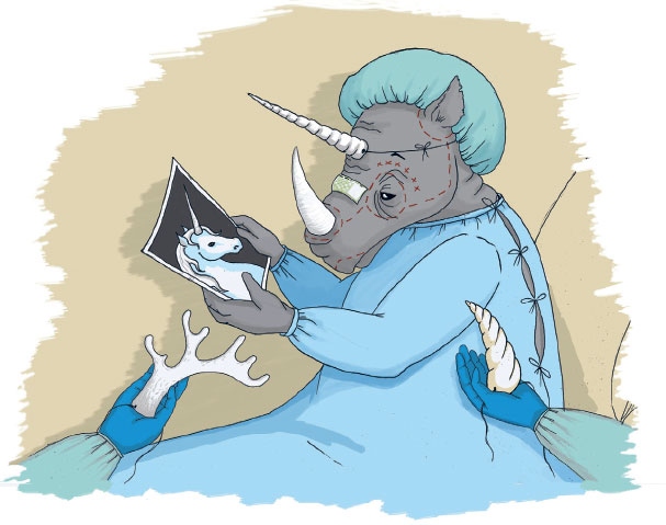 Иллюстрация к книге — От носорога к единорогу. Как провести компанию через трансформацию в цифровую эпоху и избежать смертельных ловушек [i_042.jpg]