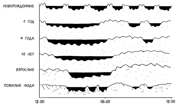 Иллюстрация к книге — Я не умею спать. Как самостоятельно выявить и устранить расстройства сна за 21 день [i_011.jpg]