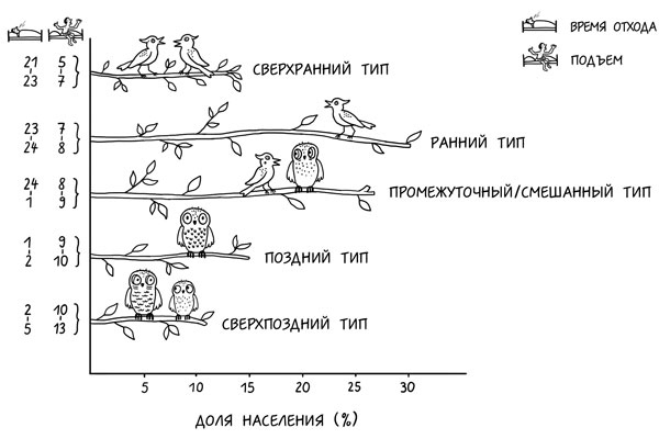 Иллюстрация к книге — Я не умею спать. Как самостоятельно выявить и устранить расстройства сна за 21 день [i_014.jpg]