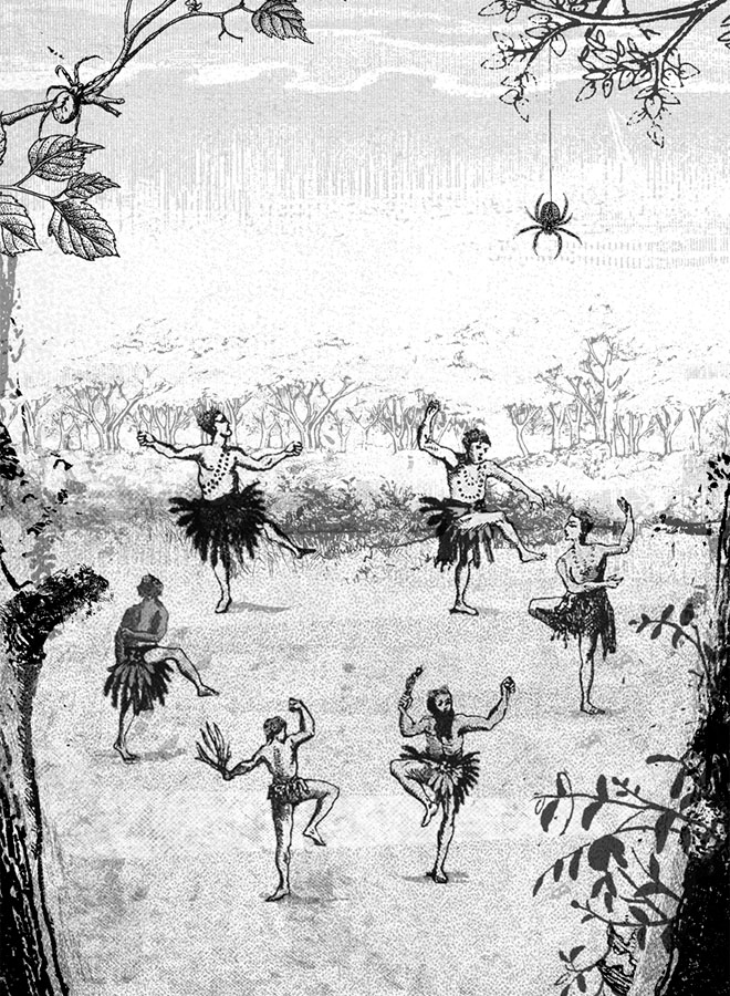 Иллюстрация к книге — Племя Зипполи [i_004.jpg]