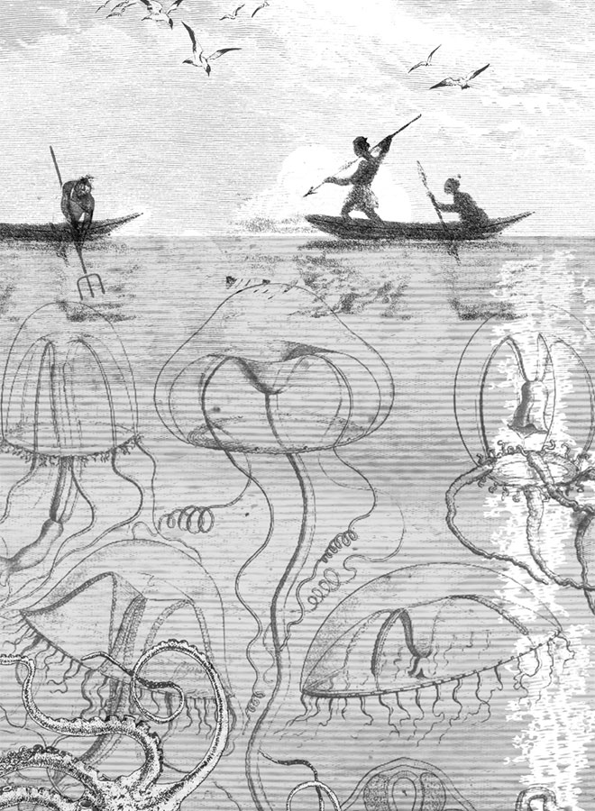 Иллюстрация к книге — Племя Зипполи [i_007.jpg]