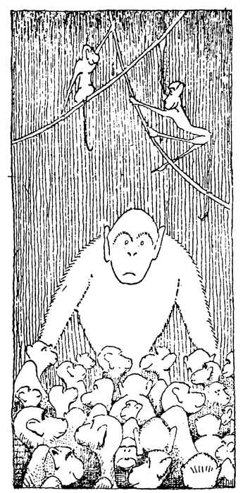 Иллюстрация к книге — Удивительное путешествие доктора Дулиттла [i_011.jpg]