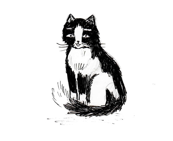 Иллюстрация к книге — Приключения Эммы. Хозяйка ветров [i_005.jpg]