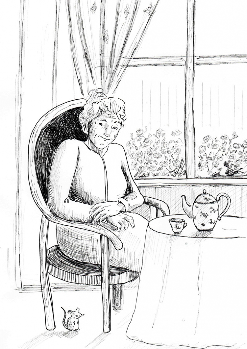 Иллюстрация к книге — Приключения Эммы. Хозяйка ветров [i_006.jpg]