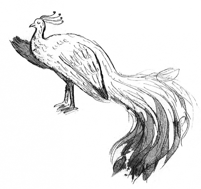 Иллюстрация к книге — Приключения Эммы. Хозяйка ветров [i_013.jpg]