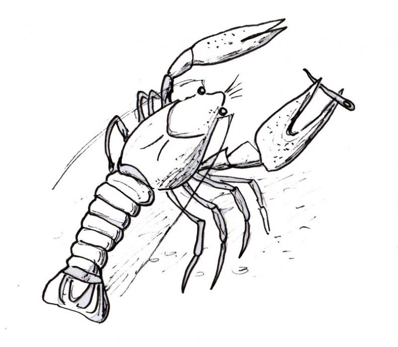 Иллюстрация к книге — Приключения Эммы. Хозяйка ветров [i_030.jpg]