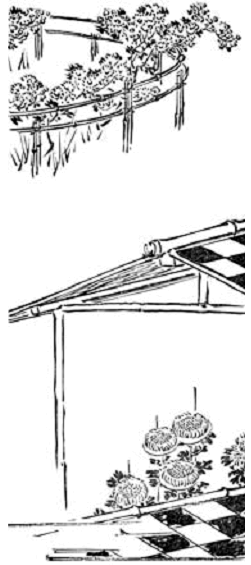 Иллюстрация к книге — Terra Nipponica [i_034.jpg]