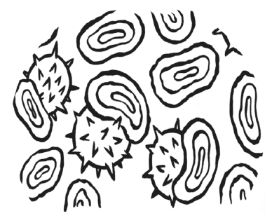 Иллюстрация к книге — Креативатор. От идеи до воплощения [img_12.jpg]