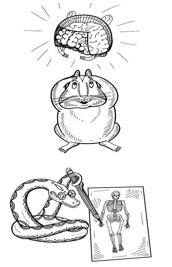 Иллюстрация к книге — В поисках волшебной таблетки. Научно-популярная сказка [i_008.jpg]