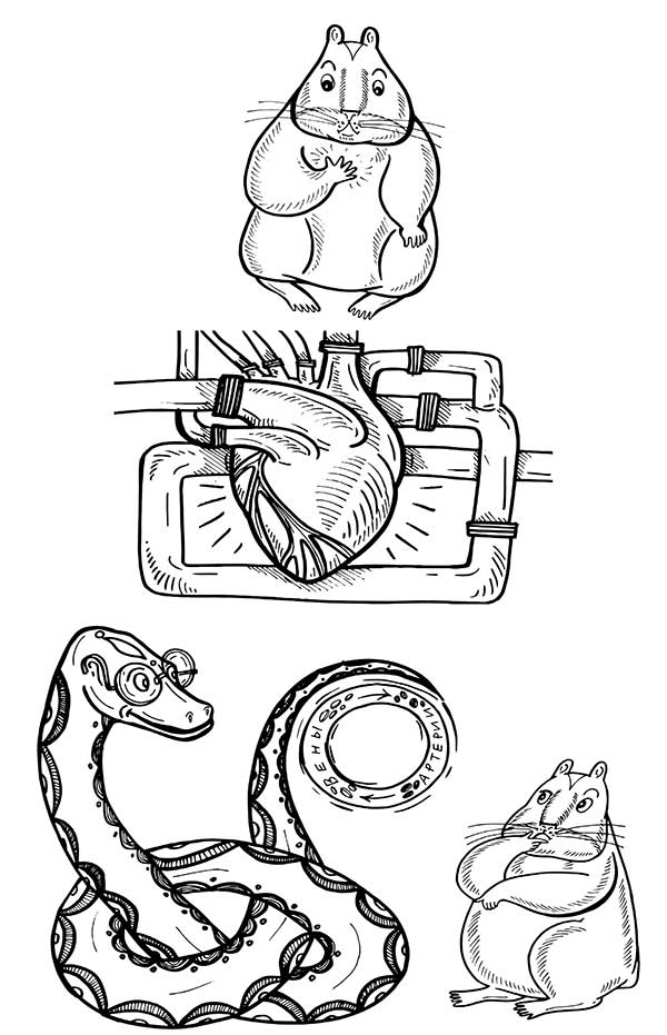 Иллюстрация к книге — В поисках волшебной таблетки. Научно-популярная сказка [i_010.jpg]