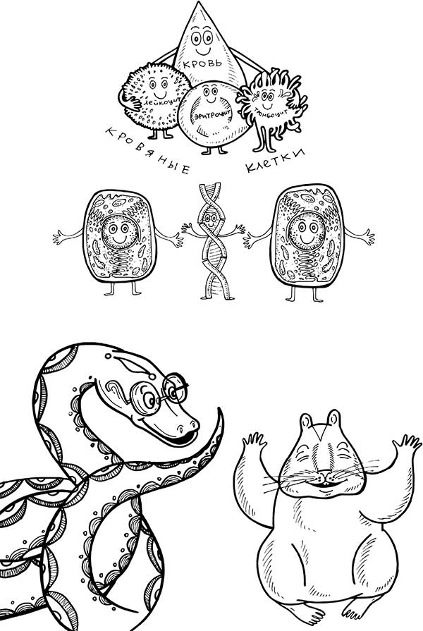 Иллюстрация к книге — В поисках волшебной таблетки. Научно-популярная сказка [i_012.jpg]