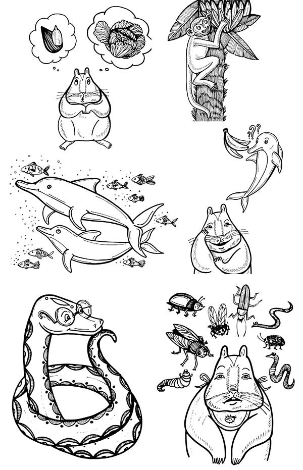 Иллюстрация к книге — В поисках волшебной таблетки. Научно-популярная сказка [i_014.jpg]