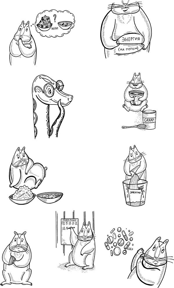 Иллюстрация к книге — В поисках волшебной таблетки. Научно-популярная сказка [i_019.jpg]