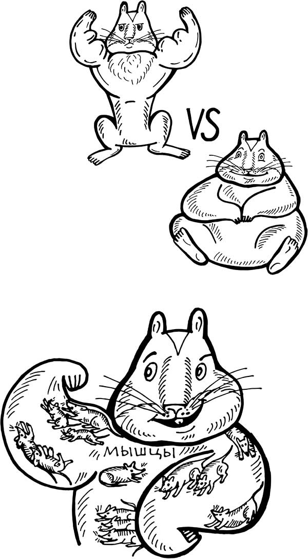 Иллюстрация к книге — В поисках волшебной таблетки. Научно-популярная сказка [i_023.jpg]