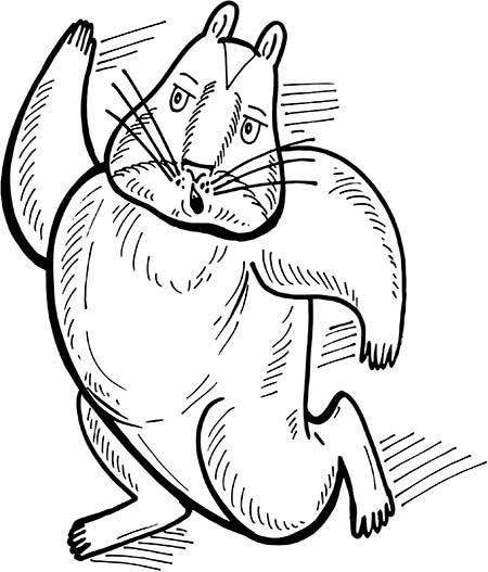 Иллюстрация к книге — В поисках волшебной таблетки. Научно-популярная сказка [i_024.jpg]