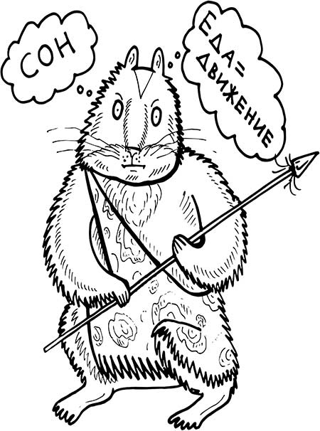 Иллюстрация к книге — В поисках волшебной таблетки. Научно-популярная сказка [i_025.jpg]