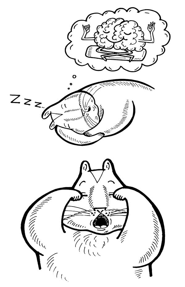 Иллюстрация к книге — В поисках волшебной таблетки. Научно-популярная сказка [i_026.jpg]