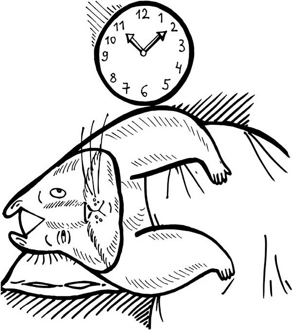 Иллюстрация к книге — В поисках волшебной таблетки. Научно-популярная сказка [i_027.jpg]