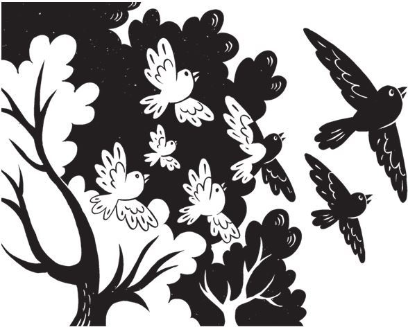 Иллюстрация к книге — Дарвинизм в XXI веке [i_010.jpg]