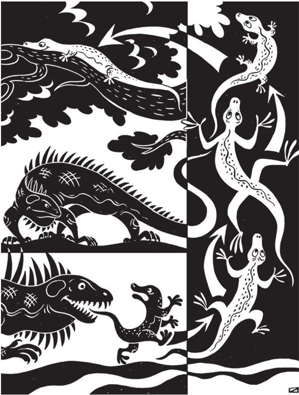 Иллюстрация к книге — Дарвинизм в XXI веке [i_013.jpg]