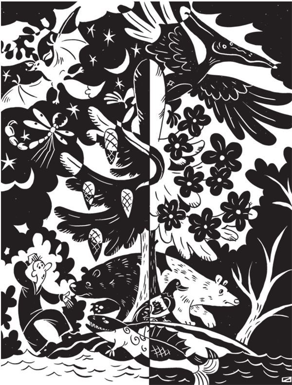 Иллюстрация к книге — Дарвинизм в XXI веке [i_017.jpg]