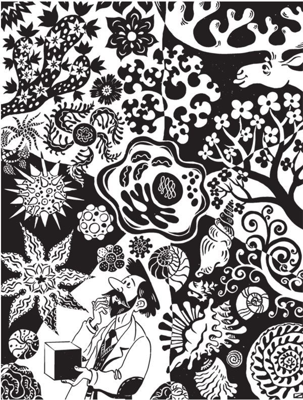 Иллюстрация к книге — Дарвинизм в XXI веке [i_045.jpg]