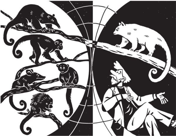 Иллюстрация к книге — Дарвинизм в XXI веке [i_058.jpg]