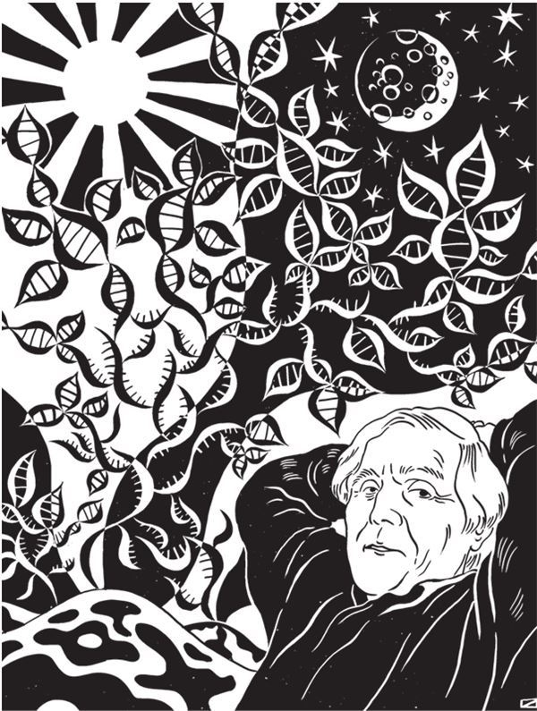 Иллюстрация к книге — Дарвинизм в XXI веке [i_065.jpg]