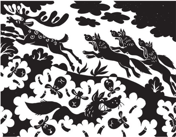 Иллюстрация к книге — Дарвинизм в XXI веке [i_069.jpg]