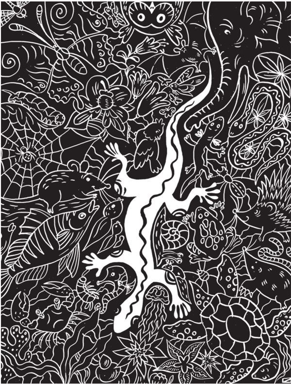 Иллюстрация к книге — Дарвинизм в XXI веке [i_071.jpg]