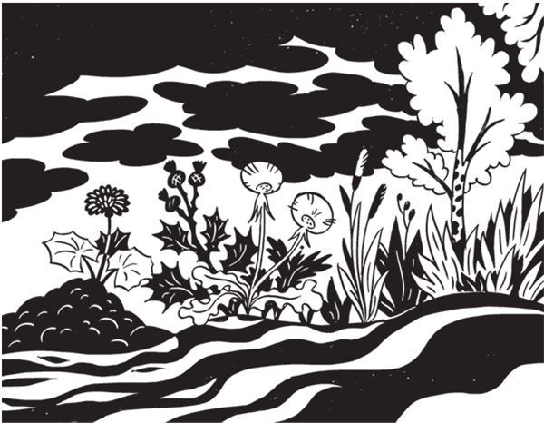 Иллюстрация к книге — Дарвинизм в XXI веке [i_072.jpg]