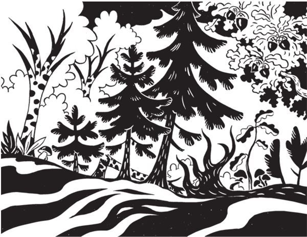 Иллюстрация к книге — Дарвинизм в XXI веке [i_073.jpg]