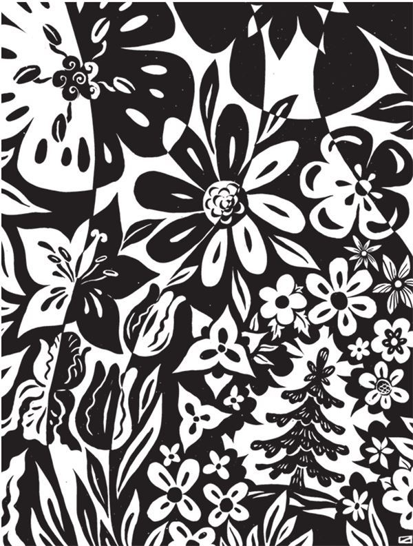 Иллюстрация к книге — Дарвинизм в XXI веке [i_074.jpg]