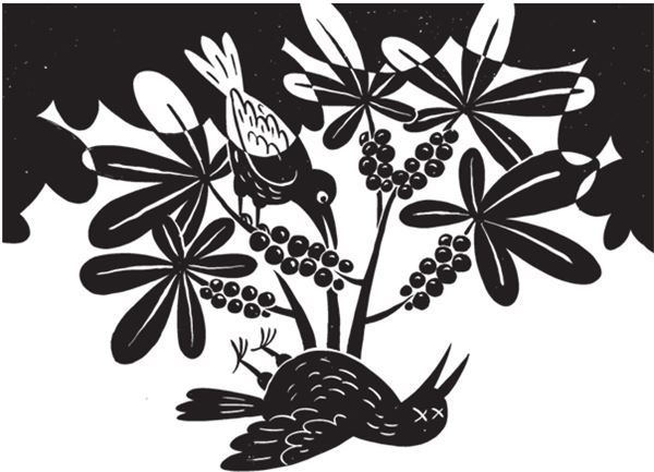 Иллюстрация к книге — Дарвинизм в XXI веке [i_100.jpg]