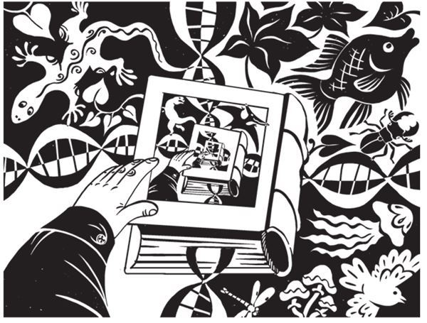 Иллюстрация к книге — Дарвинизм в XXI веке [i_112.jpg]