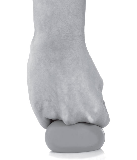 Иллюстрация к книге — Без таблеток! Быть здоровым в нашей стране [i_002.jpg]