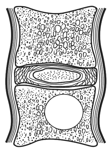 Иллюстрация к книге — Без таблеток! Быть здоровым в нашей стране [i_004.jpg]