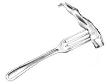 Иллюстрация к книге — Девочки-колдуньи [i_009.jpg]