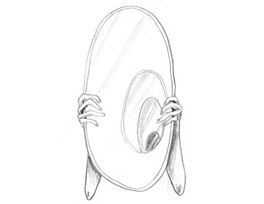 Иллюстрация к книге — Девочки-колдуньи [i_011.jpg]