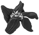 Иллюстрация к книге — Девочки-колдуньи [i_027.jpg]